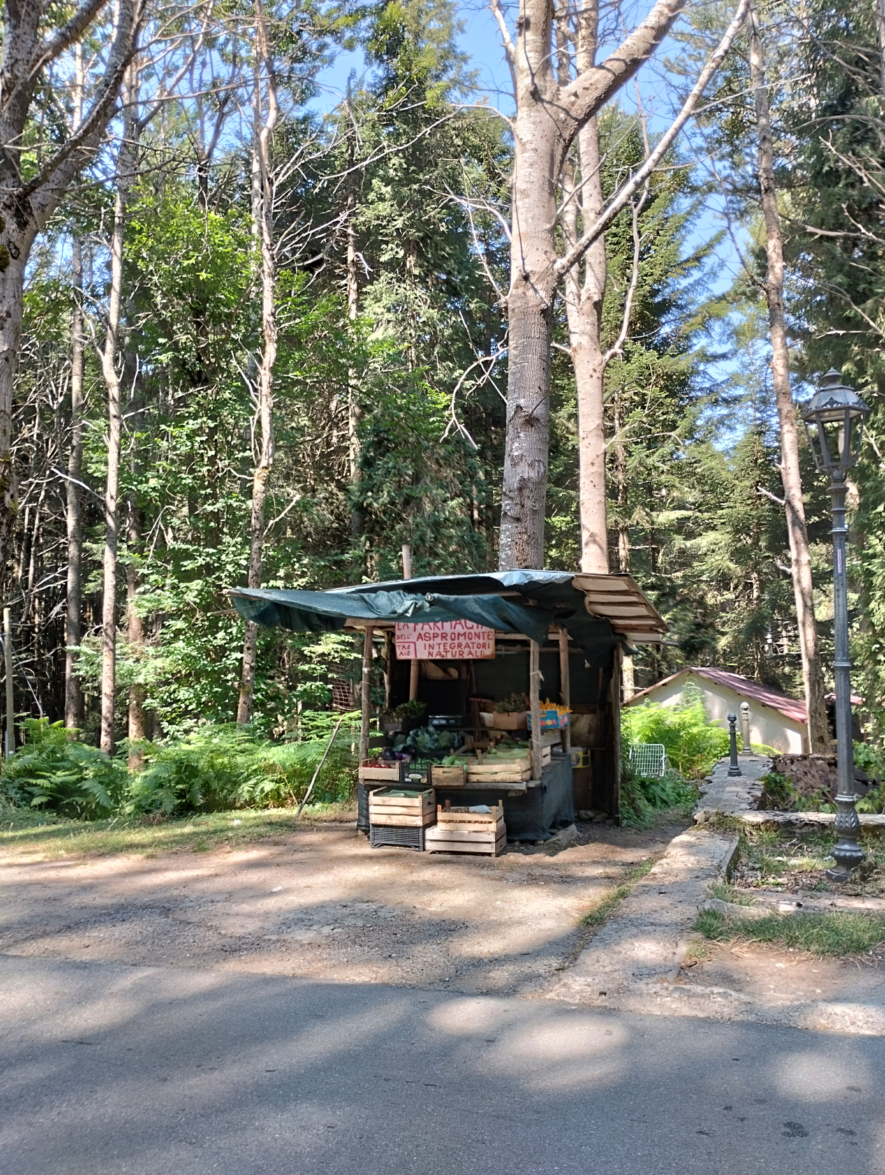Banchetto di prodotti locali nel bosco di pini